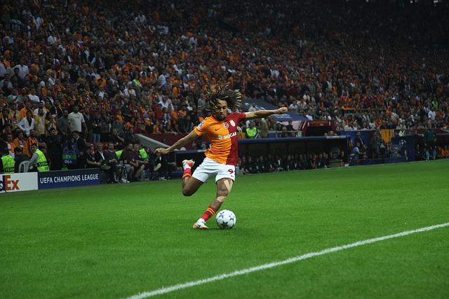 但其餘球員 但其餘球員