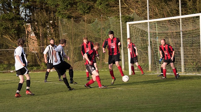 阿米鲁哈菲 阿米鲁哈菲