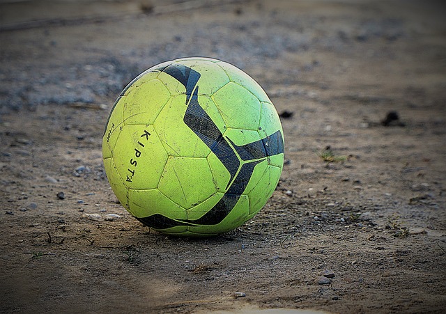 埃德尔的制 埃德尔的制