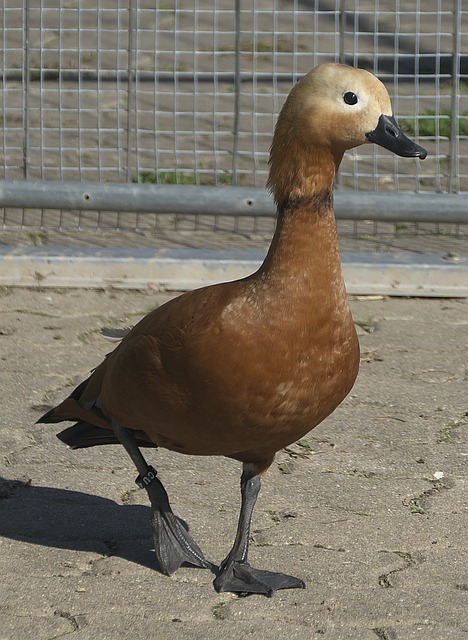 尤其是在决